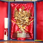 ROSOLINI - Il premio “Carrubo d’Oro” 2011 al dott. Ottavio Arancio