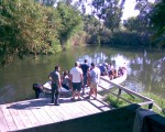 SIRACUSA - Folla di turisti al fiume 