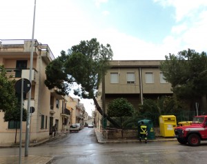 albero