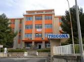 Trigona