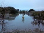 0a - Un orto allagato in c.da Marina Marza