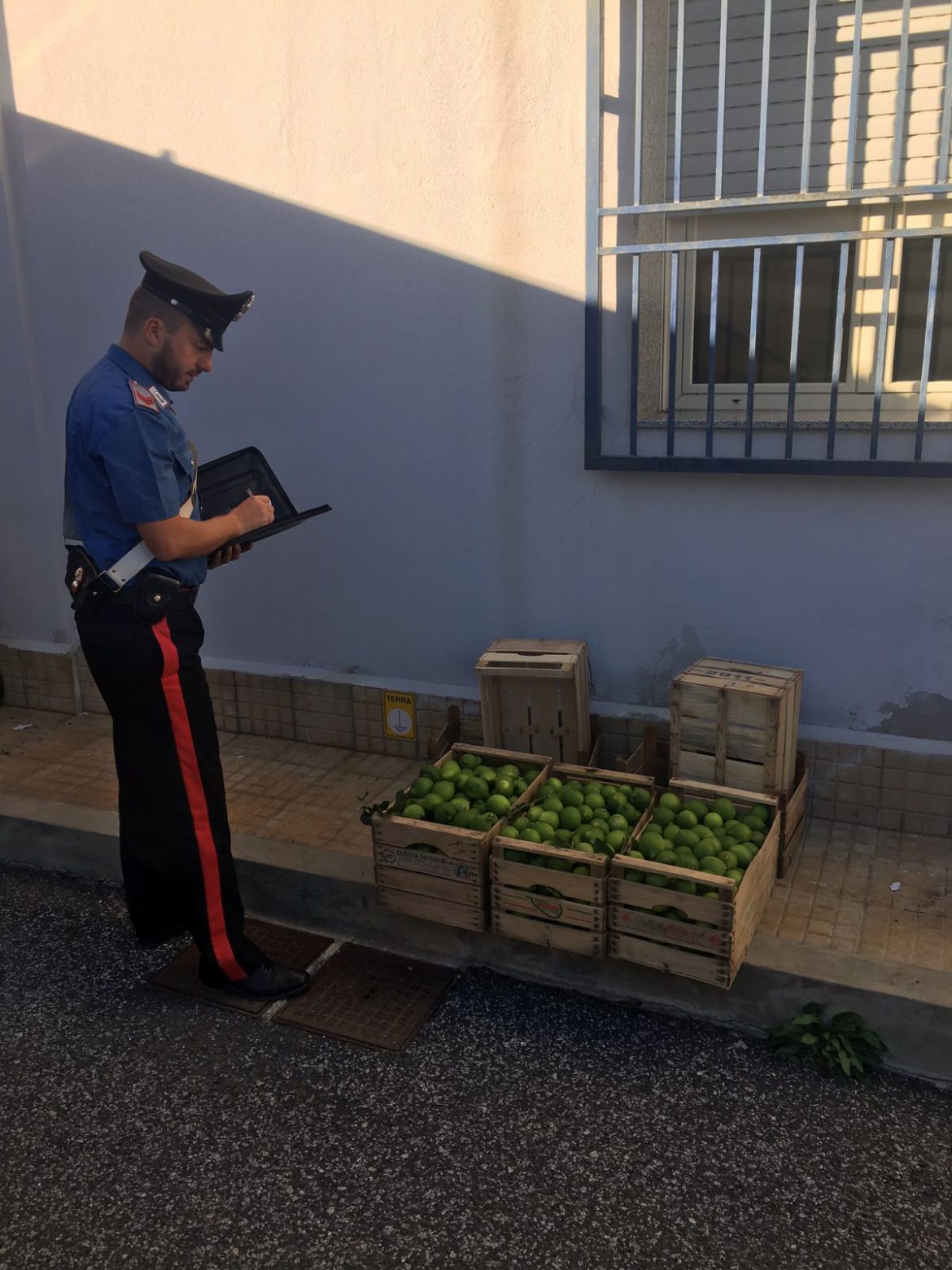 SIRACUSA (CASSIBILE): TENTA DI RUBARE 1 QUINTALE DI LIMONI ARRESTATO DAI CARABINIERI.