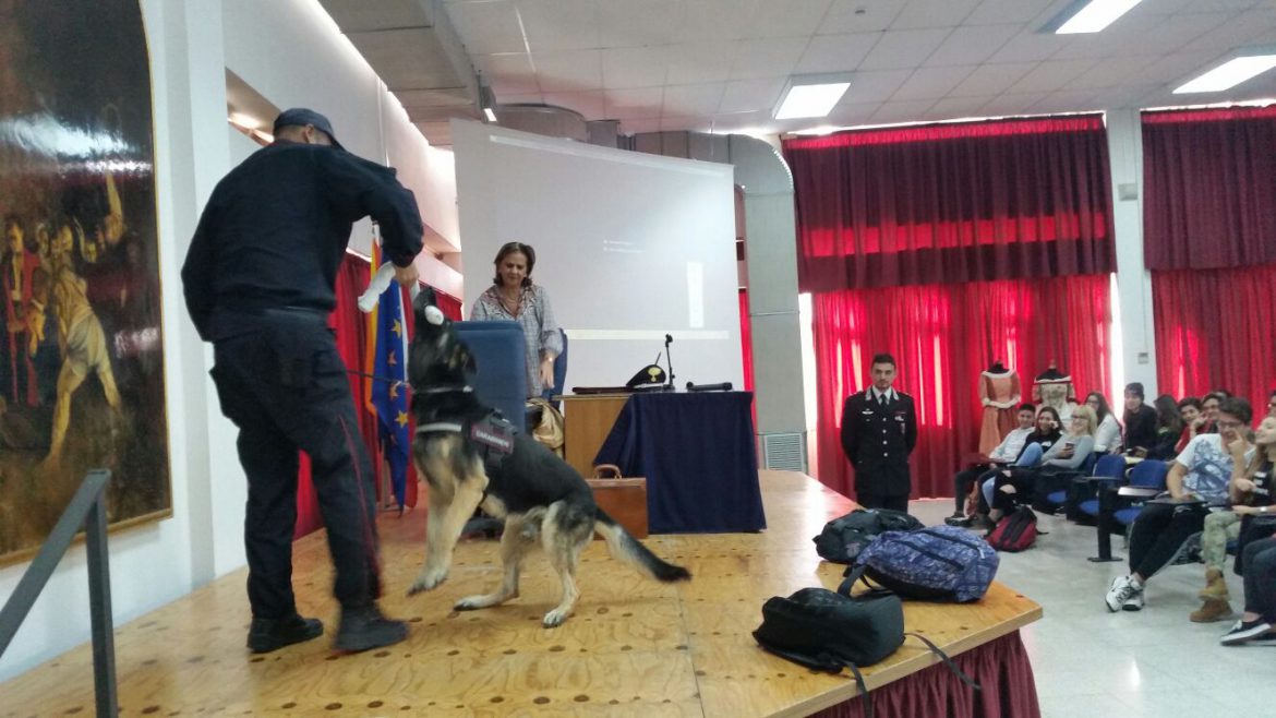 SIRACUSA – I CARABINIERI INCONTRANO GLI STUDENTI DELL’ISTITUTO SUPERIORE GAGINI.