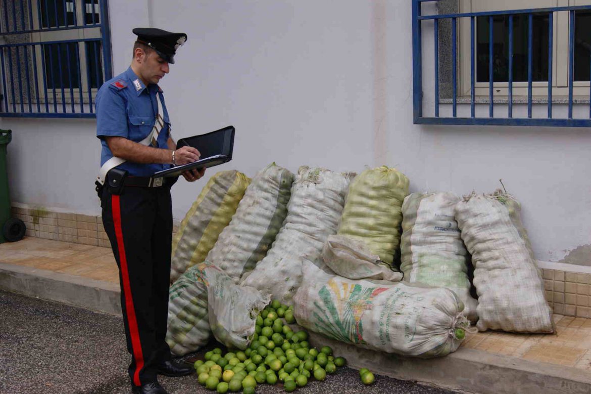SIRACUSA – CASSIBILE: ARRESTATI 3 UOMINI PER IL TENTATO FURTO DI 250 KG DI LIMONI.