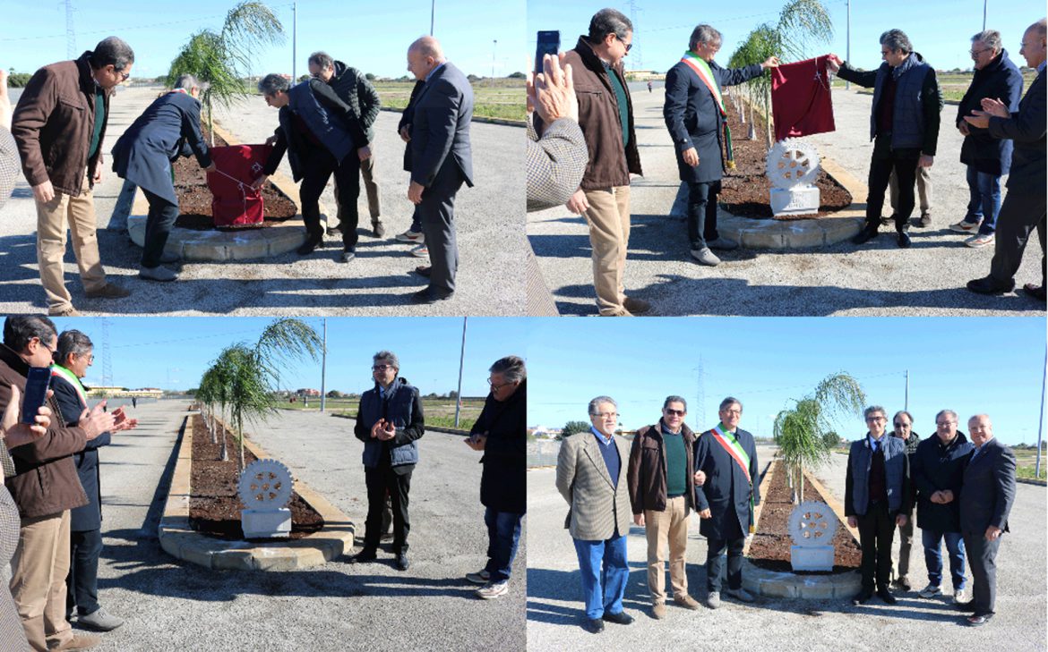 Il Rotary Club di Noto pianta alberi all’interno dell’area di Protezione Civile