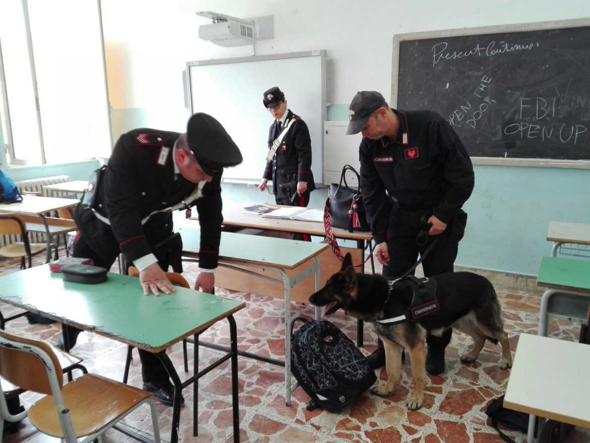 SIRACUSA – DROGA NEI CORRIDOI. SERVIZI E CONTROLLI CON  CANI ANTIDROGA DA PARTE DEI CARABINIERI
