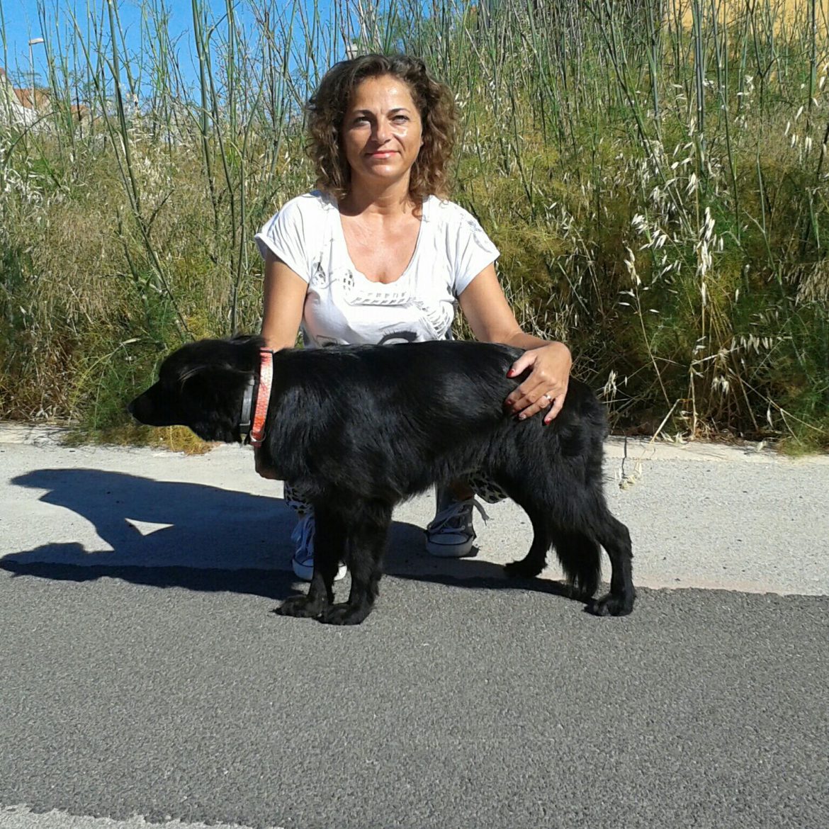 ISPICA – Reimmissioni cani in libertà dopo essere stato microchippato,sterilizzato,curato e nutrito