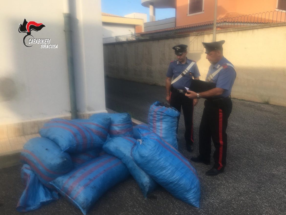 SIRACUSA. CASSIBILE, SERRATI CONTROLLI DEI CARABINIERI PORTANO A TRE ARRESTI PER IL FURTO DI 530 KG DI CARRUBE. 