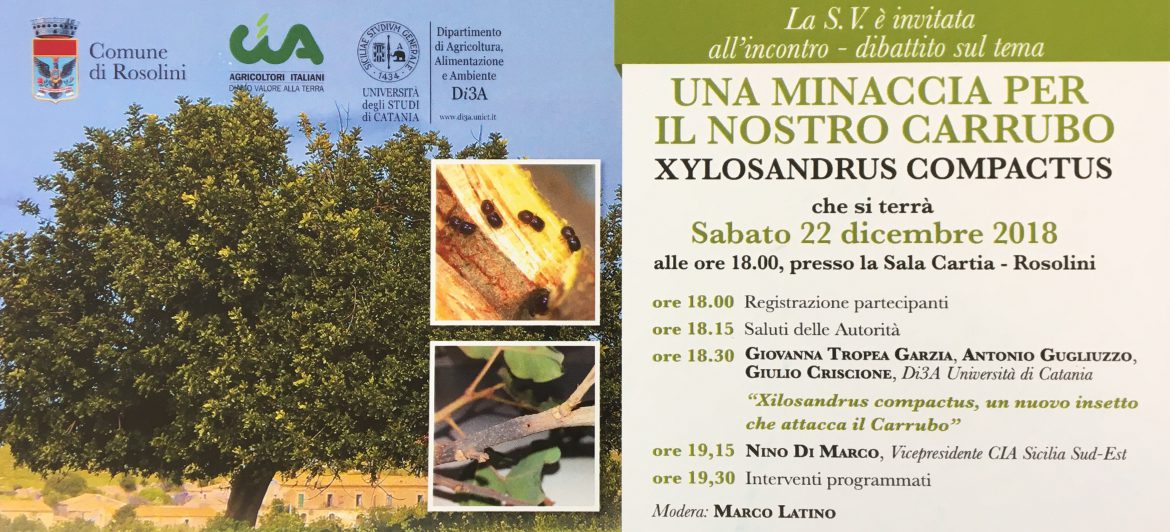 ROSOLINI – SABATO 22 DICEMBRE, IN SALA CARTIA, UN INCONTRO DIBATTITO SULLA SALVAGUARDIA DEL CARRUBO, GIÀ SIMBOLO DELLA CITTÀ DI ROSOLINI.