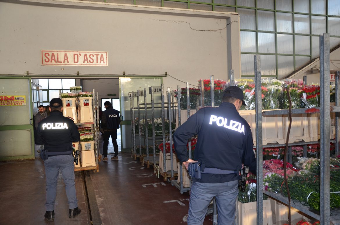 La Polizia di Stato, in collaborazione con l’ASP, l’Ispettorato del Lavoro e la Polizia Municipale di Vittoria, ha effettuato controlli capillari presso il mercato dei fiori.