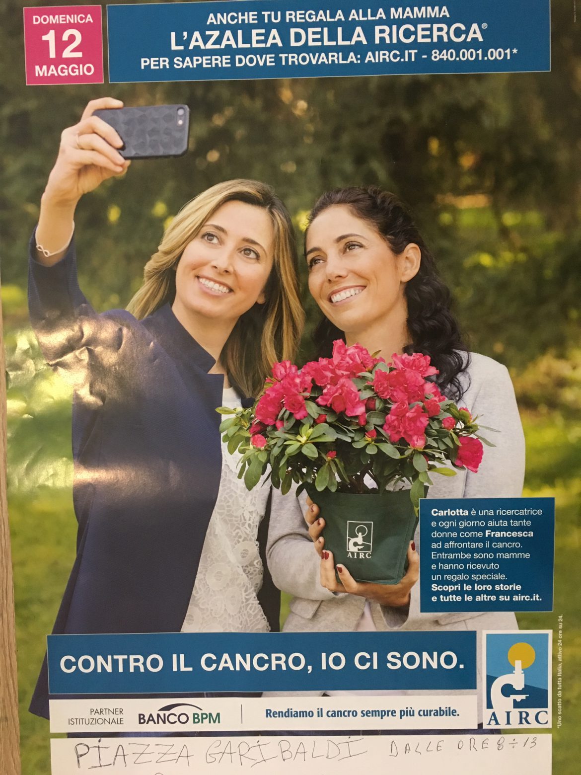 ROSOLINI – Domenica 12 maggio in piazza Garibaldi L’azalea della ricerca