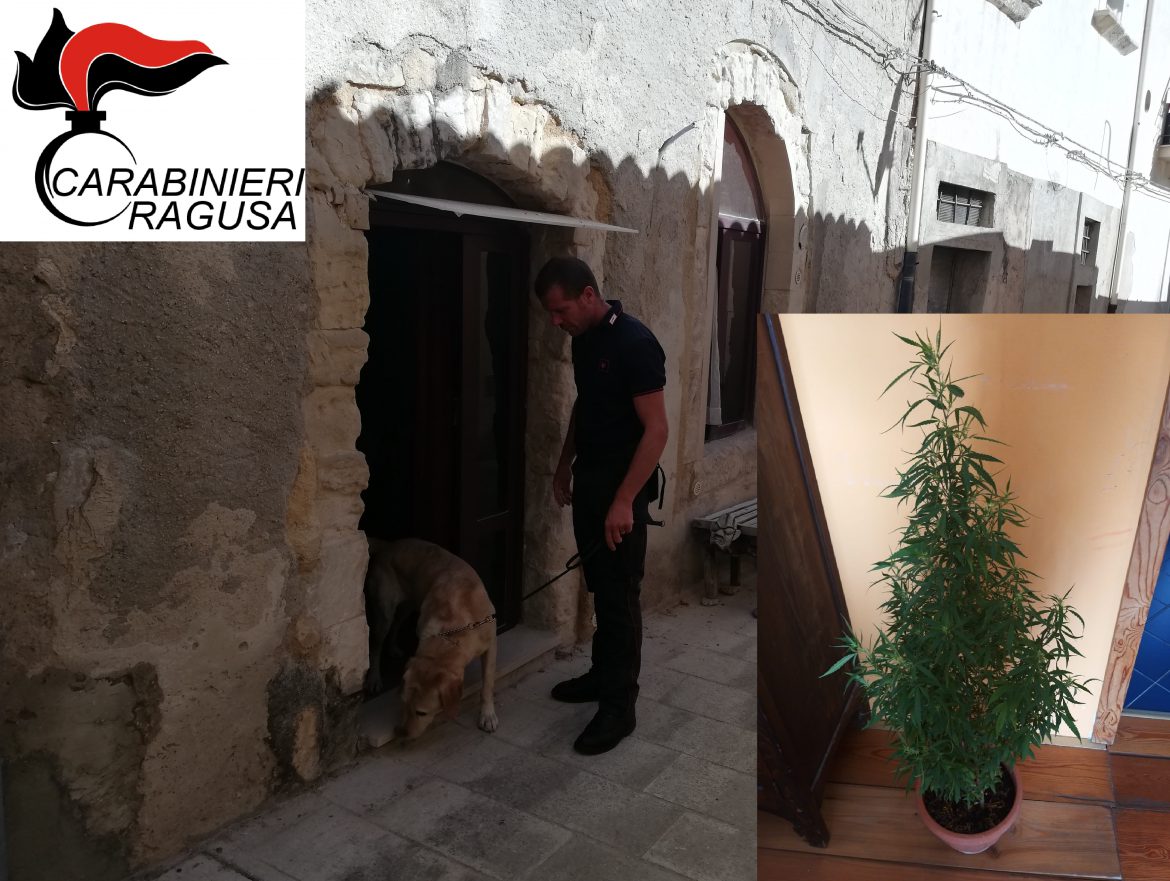 RAGUSA: spacciatori nel mirino della Compagnia di Ragusa.2 arresti e due denunce a piede libero.