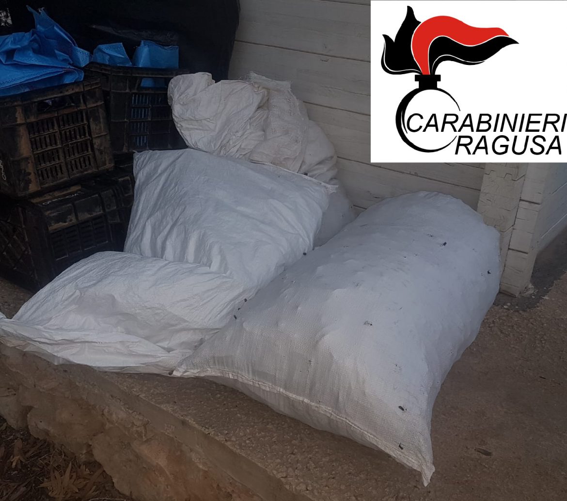 S. CROCE CAMERINA: I Carabinieri arrestano 2 stranieri per tentato furto di carrube all’interno del Donnafugata resort.
