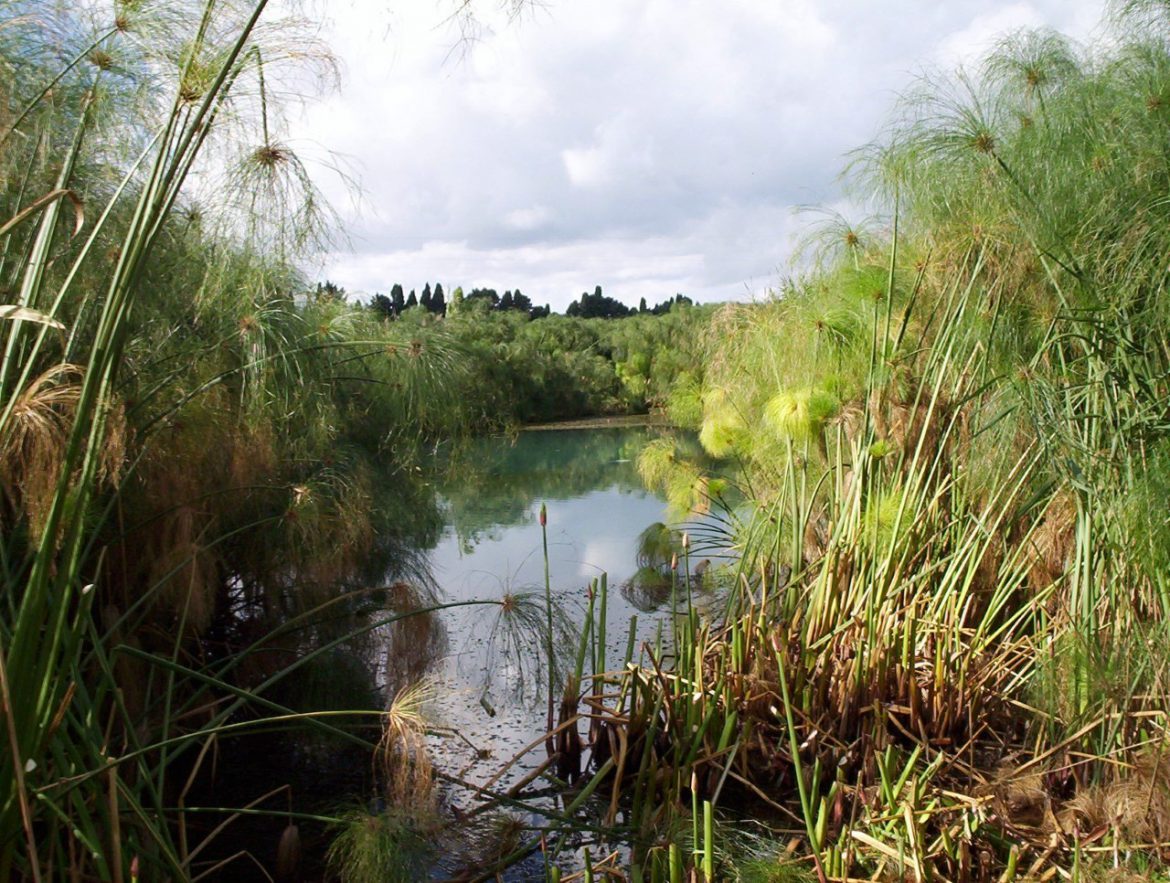 SIRACUSA – Un progetto con otto scuole per valorizzare la riserva Ciane Saline