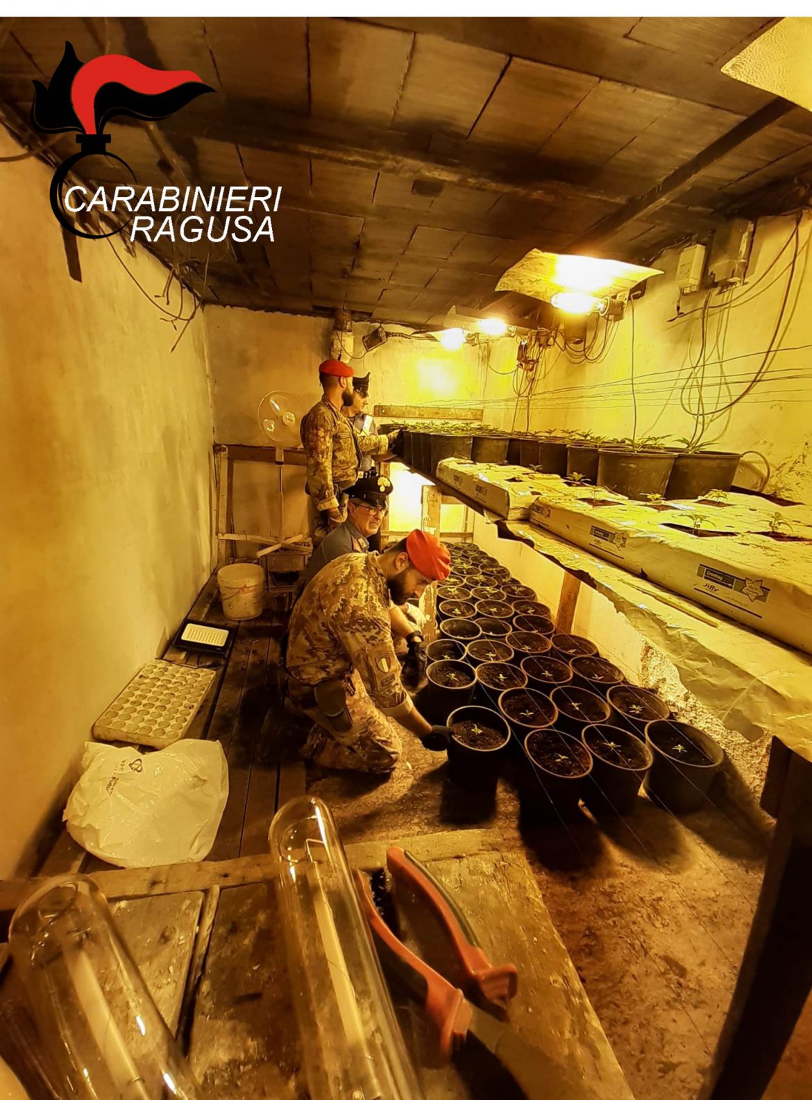 COMISO – Piantagione di marijuana nascosta in un bunker sotterraneo: i Carabinieri arrestano un 63enne con 177 piante di marijuana.