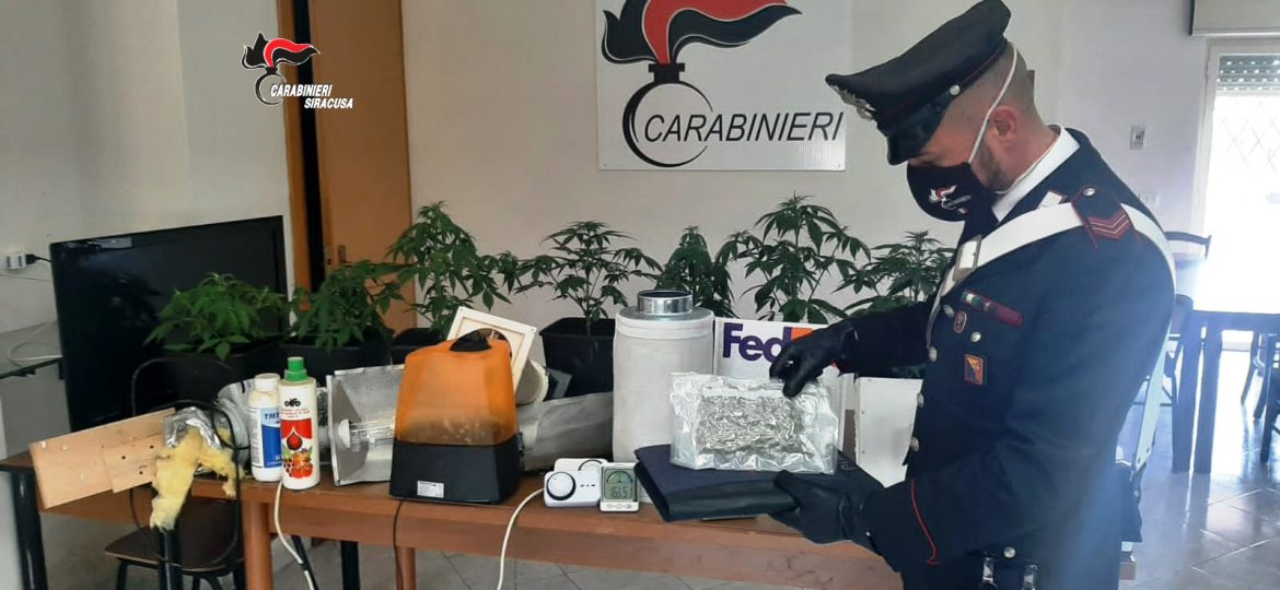 PACHINO (SR). ACQUISTA STUPEFACENTI SUL WEB. I CARABINIERI ARRESTANO UN GIOVANE INCENSURATO.