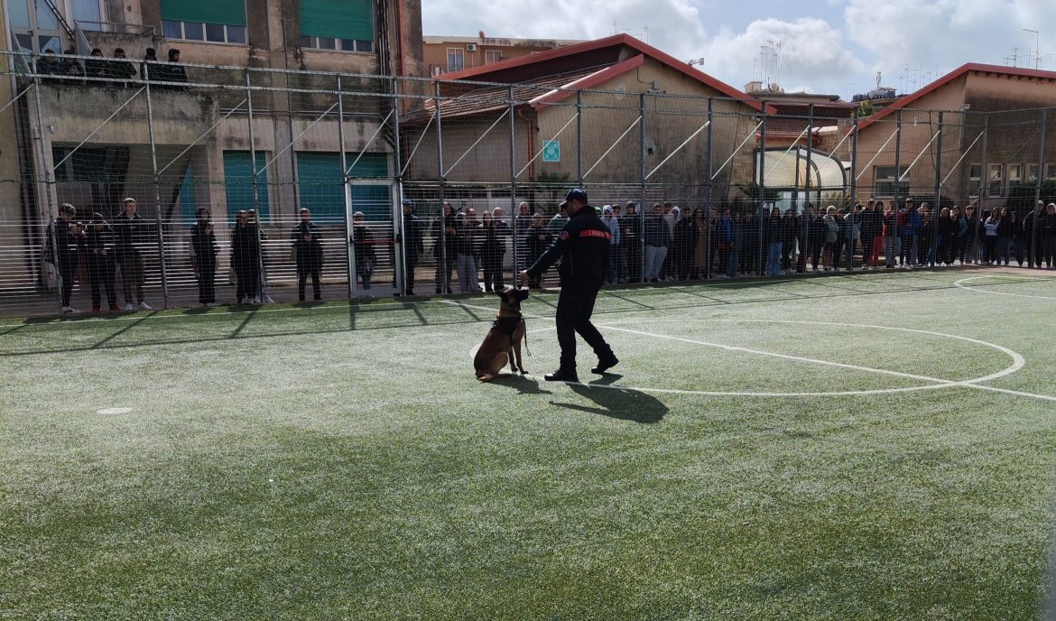 MODICA – PROSEGUONO GLI INCONTRI CON LE SCUOLE PER LA DIFFUSIONE DELLA CULTURA DELLA LEGALITÀ DA PARTE DELL’ARMA DEI CARABINIERI