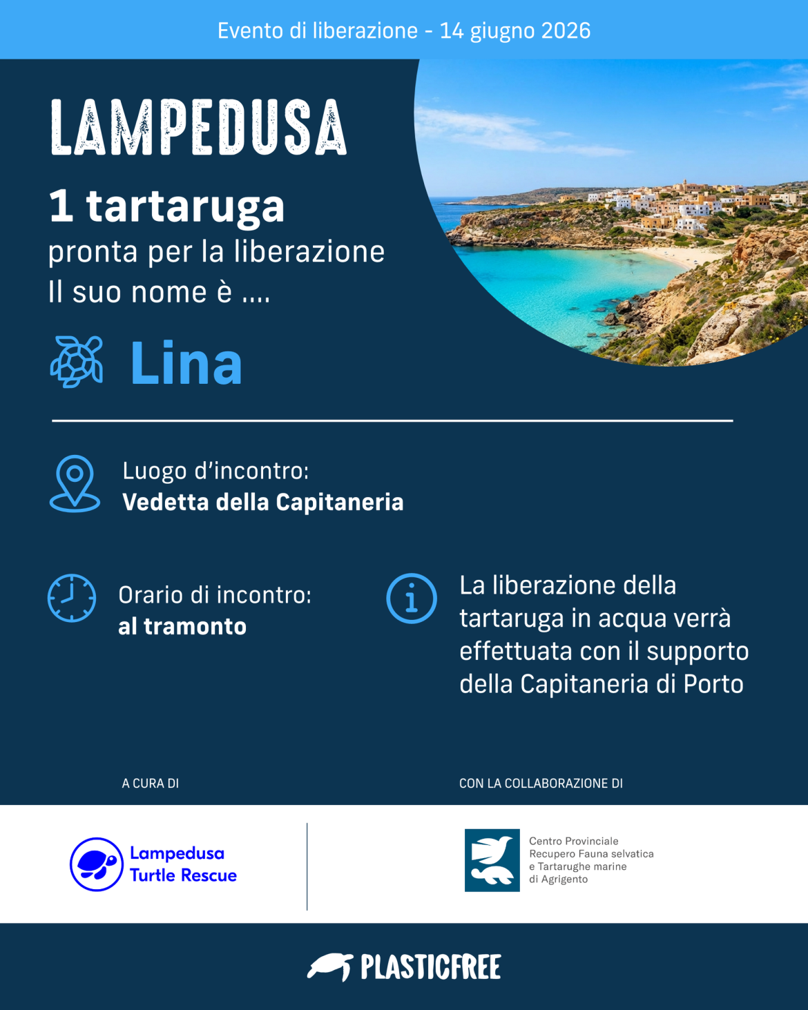 Sicilia: A Lampedusa domenica l’Italian Turtle Day, Plastic Free promuove la liberazione della tartaruga Lina