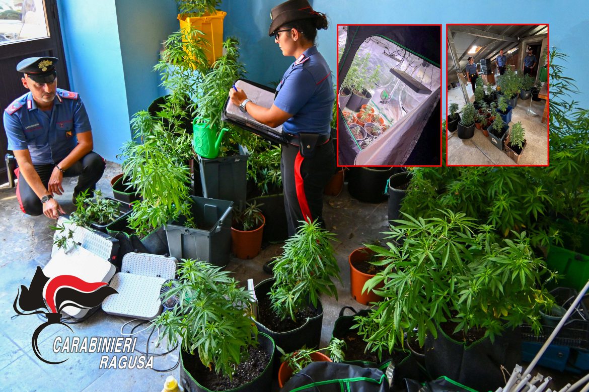 Ragusa: coltivazione di marijuana in casa. Arrestato dai Carabinieri.